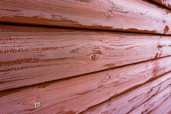 Cedar Siding Cleaning in Brentwood