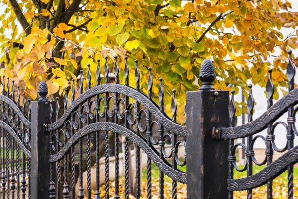 Wrought Iron Fence Washing in Brentwood