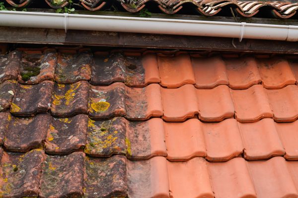 Industrial Roof Cleaning in Brentwood
